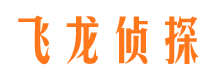 莲都市私人侦探